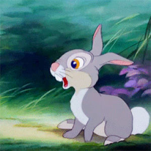 thumper,i may or may not be watching this right now,twitterpated,maudit,favoritepart,disney,bambi