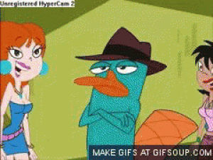 perry,platypus,purr