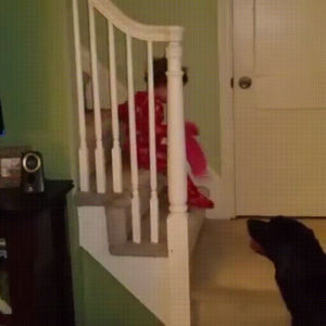 child,stairs