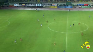 soccer,way,venezuela,paraguay,goalkeeper,stumbling