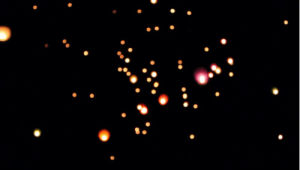 light,tangled,pink,candles,lanterns,floating lanterns,fire,black,colorful,colors,sky,flying,floating