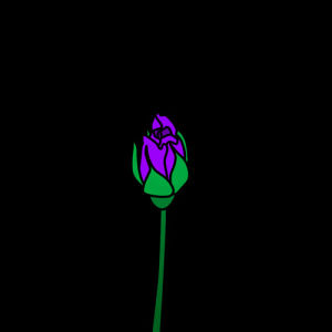 flowers,rose,roses,motion,illustrated