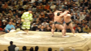 sumo,slap,fight,part,ammonium