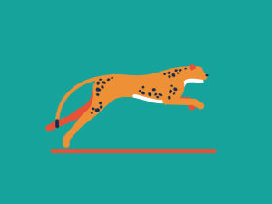cheetah,sports,animation,illustration,tennis,interactive,ibm,animade,oregon,lighting