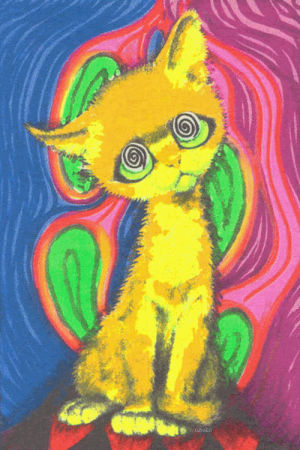 lsd,trip,stoned,drugs,colors,acid,trippy cats,trippy animals