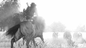 red dead redemption,wild west,horse,rdr,movies,gaming,horses,ps3,cowboy,cows,john marston,meadow,xbox 360,country side