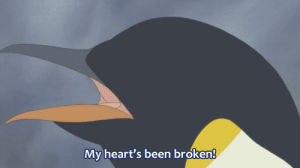 penguin,heartbreak