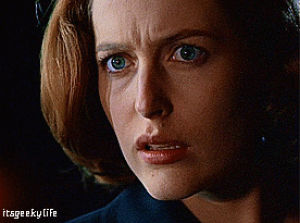 gillian anderson,the lone gunmen,david duchovny,chris carter,dana scully,fox mulder,xfiles,hallucination,the truth is out there,special agent fox mulder,special agent dana scully,mitch pileggi,assistant director skinner