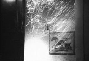 movie,film,black and white,vintage,scared,the giant spider invasion