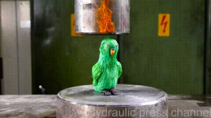 parrot,hydraulic,party,press,crushes