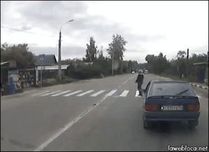 wtf,police,accident,pedestrian