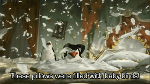pillow fight,birds,cartoons comics,penguins,sad but true