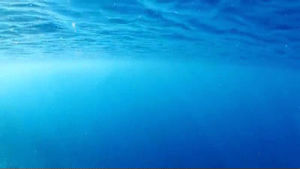 underwater,ocean,water,fiji