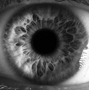 pupil,black and white,eye