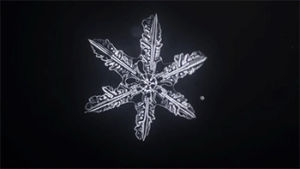 snowflake,time