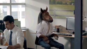 no,work,horse,office,mask,company,neigh