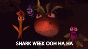love,week,shark,ha,shark week,ooh,madly