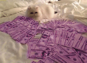 money,cat,pink,kitty,white,glitter,dope,sick,move,cash,ms,diamond,blingee,dollar,soft,debbie,msniiina,guetto,sprkle
