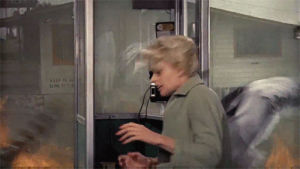 psycho,tippi hedren,scary movie,classic film,alfred hitchcock,writer,marnie,the birds,rod taylor,classic cinema,film review,film blog