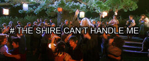 party,the lord of the rings,the hobbit,the shire