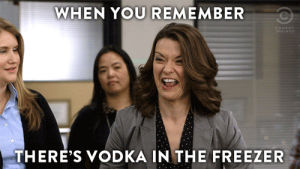 lol,comedy,party,comedy central,workaholics,vodka,wednesday,thatfeelingwhensday