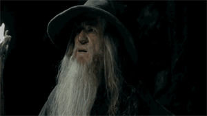 confused,lord of the rings,gandalf