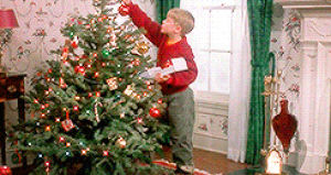 home alone,christmas tree,countdown to christmas,christmas,christmas hunt