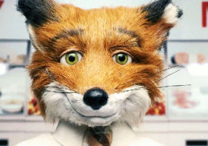 fantastic mr fox wink gif