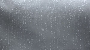 rain,rainfall,drops