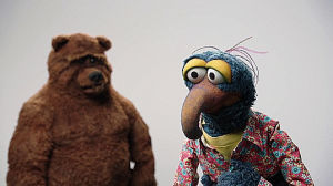 gonzo,the muppets,the muppets abc,the muppets top 5 people youll meet at work,bobo the bear