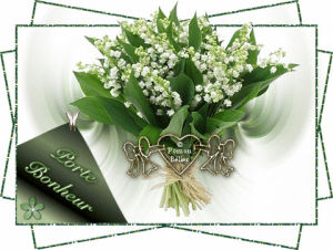 Cherrypost Gif Find On Gifer