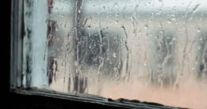 rain,window,rainy day