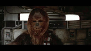 chewbacca,wookie,star wars,deal with it