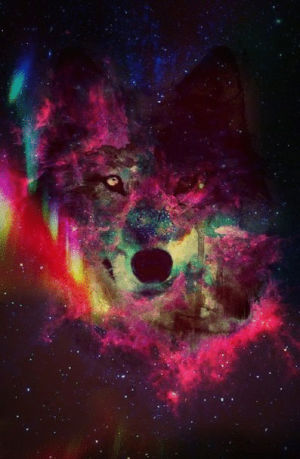 wolf,space,stars,colorful