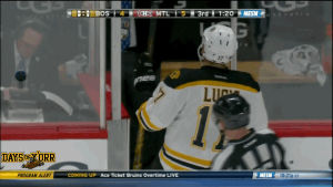 nhl,fan,ice hockey,boston bruins,montreal,taunting,milan lucic