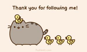 kawaii,thanks,pusheen,followers,animation,cat,eating