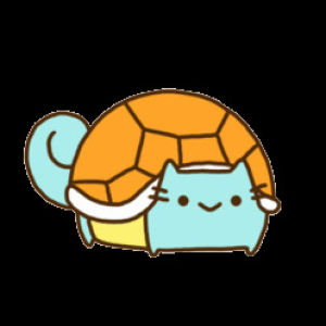 cute cat,turtle,squirtle,cute cats,transparent,animation,cat,pokemon,shell