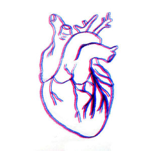 beating heart,heart,flesh,illustration,ew,gut,superfahjellyfish,fotc