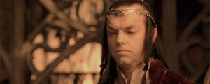 elrond,lotr,imagine,lord of the rings,elf,the fellowship of the ring