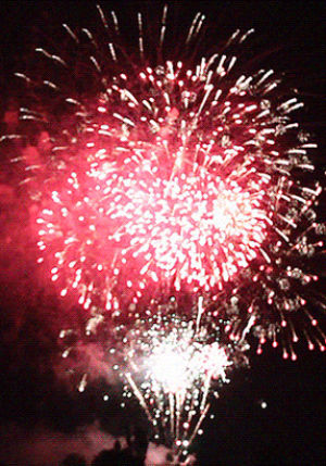 fireworks,canada day,misc