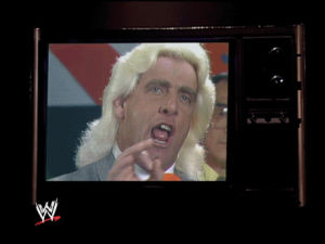 ric flair,the nature boy,wwe,wrestling,wwf