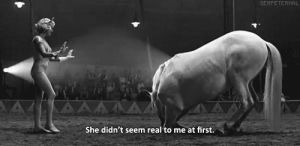 circus,water for elephants,movie,animals,black and white,horse