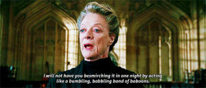 mcgonagall,harry potter,maggie smith,goblet of fire