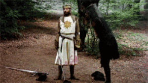 monty python and the holy grail,monty python,john cleese,movies,movie,king arthur,graham chapman,the black knight,knight fight