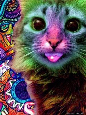 psychodelic,cool cat,cat,colorful,lsd,dreamy,tongue out