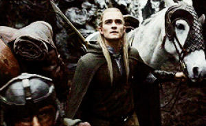 movies,horse,the lord of the rings,our,lord of the rings,return of the king,aragorn,elise,legolas,orlando bloom,gimli