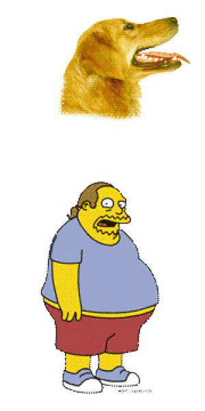 weird,simpsons,jeff albertson,transparent,dog,trippy,psychedelic,rainbow,internet,why,comic book guy,transparent blog