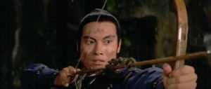 women warriors,martial arts,kung fu,shaw brothers,the 14 amazons