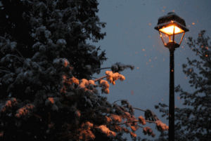 evening,trees,snow,lamp post
