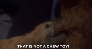 dog,christmas movies,jim carrey,2000,ron howard,how the grinch stole christmas,that is not a chew toy